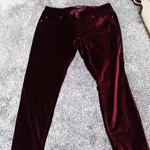 Torrid jeggings